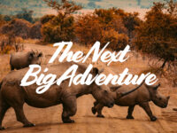 The Next Big Adventure
